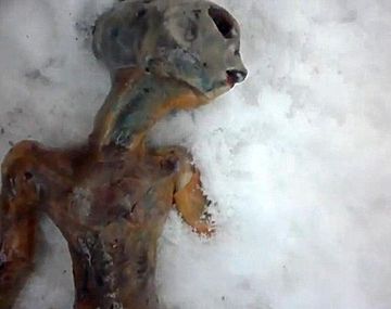 Alien siberia fake