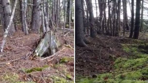 Todos hablan del video de la respiración de la tierra
