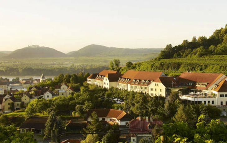 Le mordieron el pene cuando le hacían sexo oral