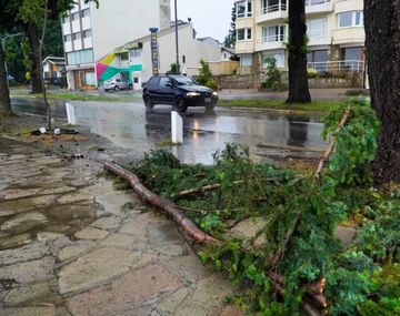 Un temporal azotó Bariloche. Gentileza El Cordillerano