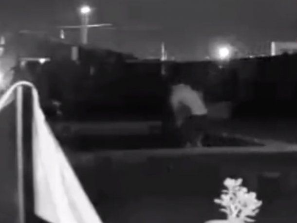 Insólito: se infiltró en el patio de una casa para darse un chapuzón en la pileta