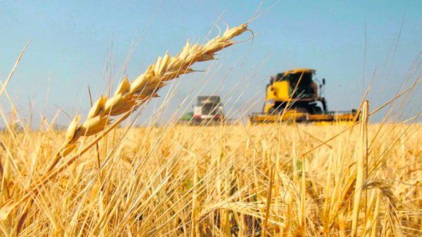 Argentina y otros 4 grandes exportadores de alimentos profundizarán sus producciones