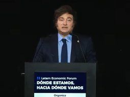 Javier Milei acusó al PRO de hacer una zancadilla para que caiga Ficha Limpia