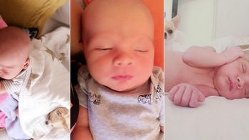 El álbum de entrecasa de Valentín, el hijo de Lourdes Sánchez y el Chato Prada. El álbum de entrecasa de Valentín, el hijo de Lourdes Sánchez y el Chato Prada.