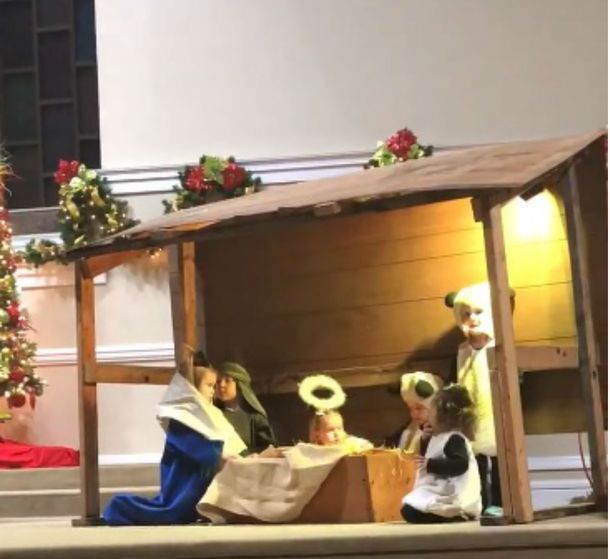 Una ovejita se aburrió y armó lío durante la presentación