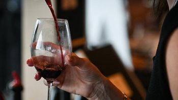 El análisis precisó que el consumo moderado de vino se asocia con un menor riesgo de mortalidad prematura. El análisis precisó que el consumo moderado de vino se asocia con un menor riesgo de mortalidad prematura.