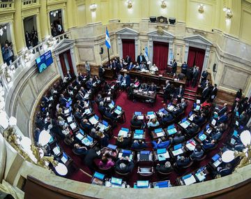 El Senado debatirá y votará la despenalización del aborto el 8 de agosto