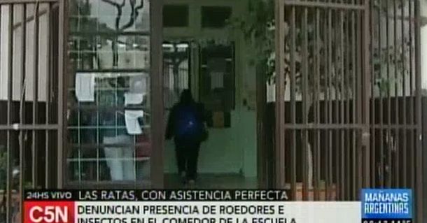 Padres denuncian la presencia de ratas y cucarachas en un colegio de Villa Urquiza