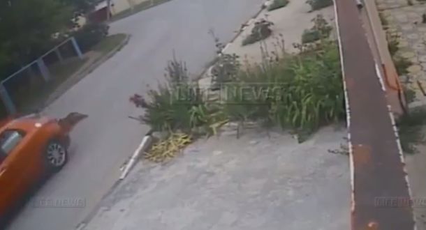 Horror: ató un perro a su vehículo y lo arrastró por la calle