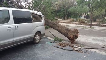 Violento tornado en Catamarca causó la muerte de un adolescente y graves destrozos Violento tornado en Catamarca causó la muerte de un adolescente y graves destrozos