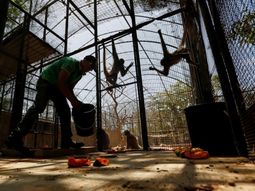 Triste: más de 50 animales del zoológico de Caracas murieron de hambre