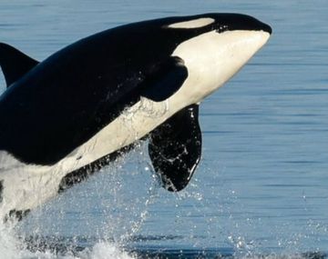 Granny tenía 105 años