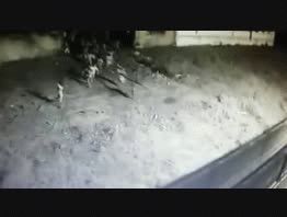 VIDEO: impresionante fuga de presos en Brasil