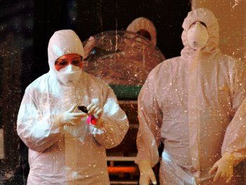 Nuevo récord de casos de coronavirus en Argentina: se registraron 904 infectados en 24 horas