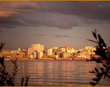 Brasil: un lugar selvático