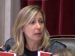 Bregman: El juicio que condenó a Cristina es cuestionable