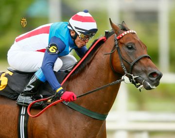 Paradoja: Despacito fue el más rápido