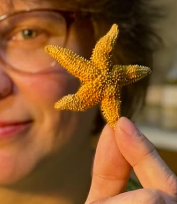 Furor marino: lo que siempre quisiste saber sobre las estrellas de mar y no te animaste a preguntar