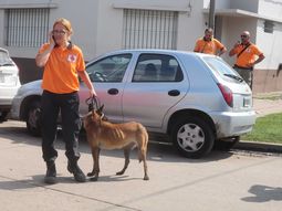 Empresas deberán pagar $60 a afectados por el temporal