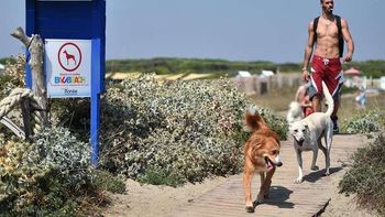 una exclusiva playa para perros es furor en italia una exclusiva playa para perros es furor en italia