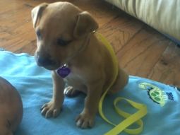 se muere de sueno, pero cuida el bebe se muere de sueno, pero cuida el bebe