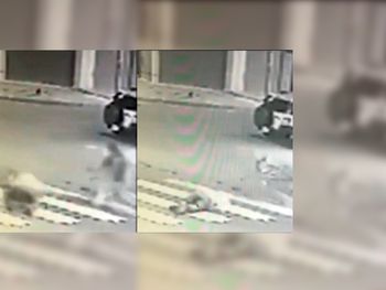 Así fue el brutal asesinato a un canillita en Tres de Febrero