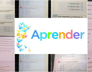 Se filtraron las preguntas de la Evaluación Nacional Aprender