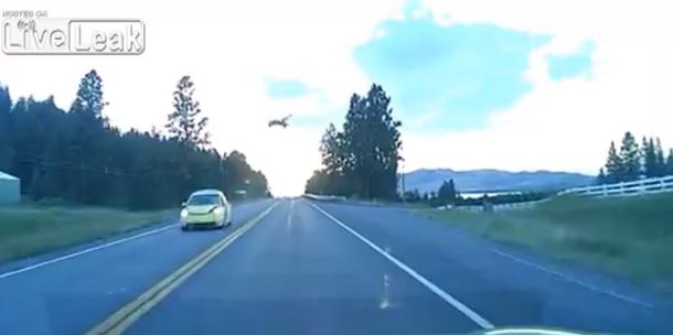 VIDEO: Mirá cómo un auto atropella a un ciervo en plena ruta