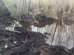 Lugar del brazo del Paraná Guazú donde fue encontrada la aeronave desaparecida desde el 24 de julio. Lugar del brazo del Paraná Guazú donde fue encontrada la aeronave desaparecida desde el 24 de julio.