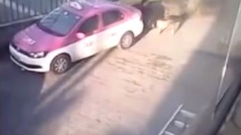 video escrachan a un hombre que tenia sexo con perros callejeros video escrachan a un hombre que tenia sexo con perros callejeros
