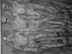 Aliens cuerpos 2