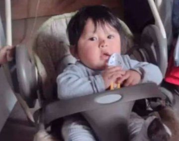 Hallaron a un nene muerto en La Plata: tenía signos de haber sido mordido por perros