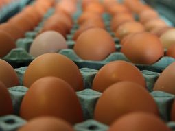 ¿cuantos huevos por persona se comen en la argentina? ¿cuantos huevos por persona se comen en la argentina?