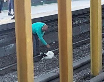 La línea B de subte estuvo interrumpida casi una hora ¡por culpa de un perro!