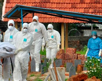 India en alerta por brote del virus Nipa: qué se sabe de la enfermedad que ya tiene dos casos confirmados