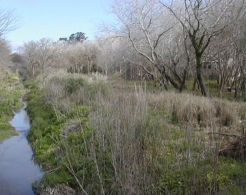 Un chico muerto durante el temporal