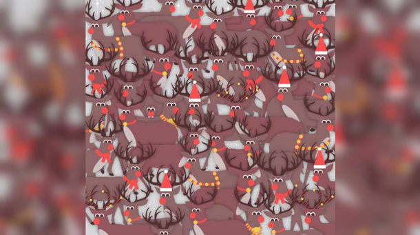 ¿A dónde está el pajarito?