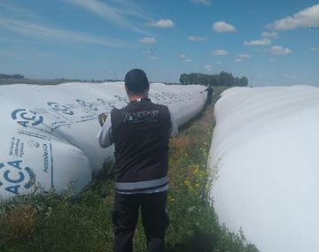 AFIP detectó evasión de $160 millones en cadena de comercialización de granos