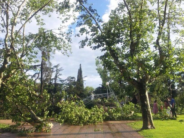 Foto @brunobutteri Chivilcoy