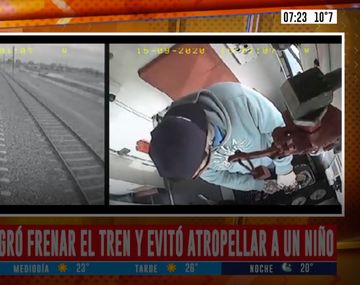 Milagro en el tren Roca: un nene caminaba por las vías y se salvó de ser atropellado