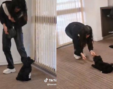 El tierno video de la perrita Mora con Valentina