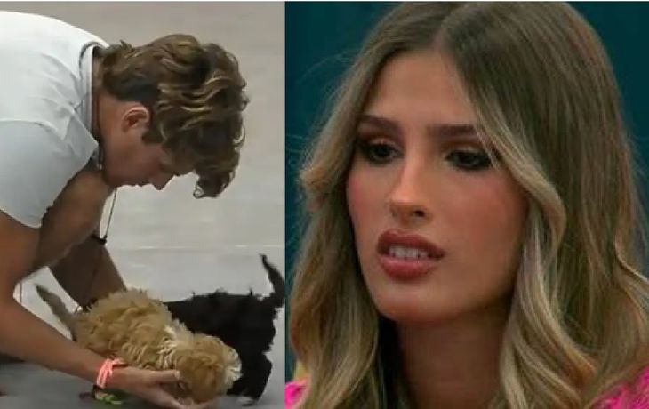 El intenso cruce entre Marcos y Julieta  por los perritos: ¿Por qué le hacés exclusión?