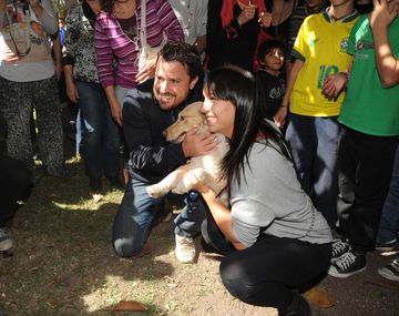 Unas 30 mascotas fueron rescatadas en La Plata