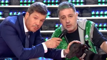 showmatch: fabian doman conmovio con la historia de un galgo quebrado y abandonado showmatch: fabian doman conmovio con la historia de un galgo quebrado y abandonado