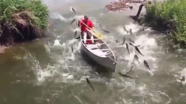 VIDEO: Lo atacaron los peces voladores