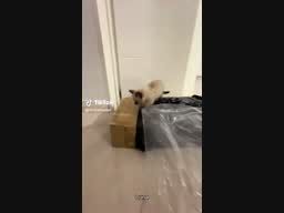 Fini Lanusse Fini Lanusse