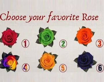 La rosa que elijas revelará información importante sobre tu persona