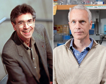 Premiaron a dos estadounidenses con el Nobel de Química