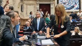 florencia carignano reivindico su accionar en diputados: lo volveria a hacer una y mil veces florencia carignano reivindico su accionar en diputados: lo volveria a hacer una y mil veces