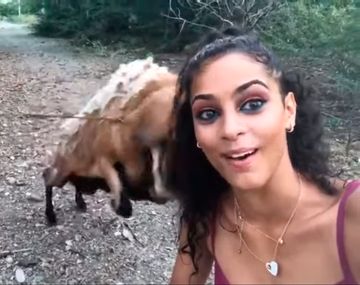 VIDEO: Una cabra embiste a una mujer mientras se sacaba una selfie con ella